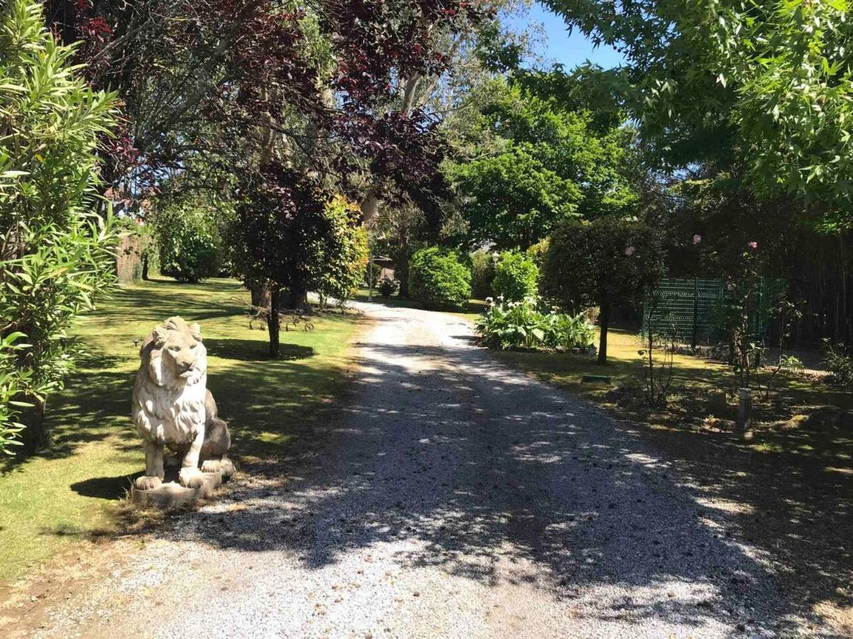 Maison Villa Yoda Saint-Jean-de-Luz Dış mekan fotoğraf